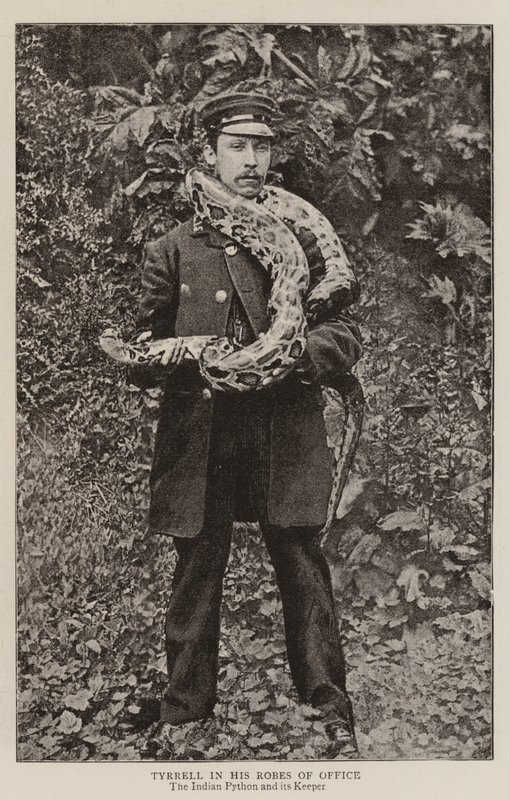Tyrrell, Ofis Cüppesiyle by English Photographer