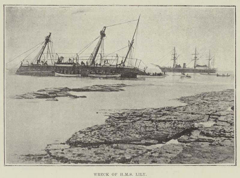 HMS Lily