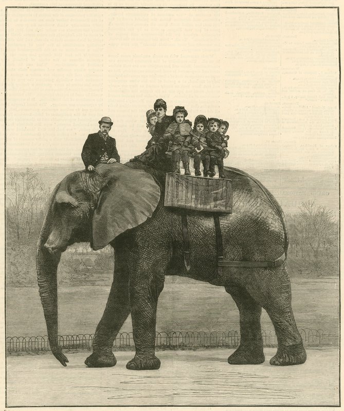Jumbo