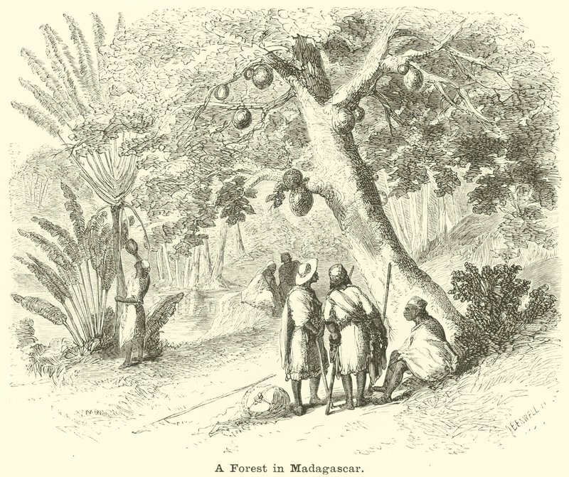 Madagaskar