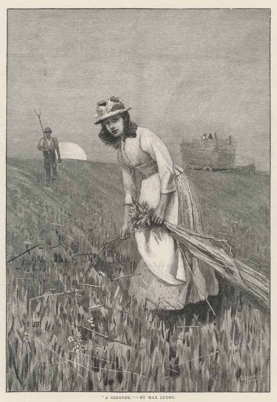 Bir Gleaner (gravür) by English School