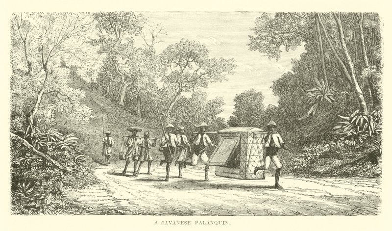 Bir Cava tahtırevanı by English School