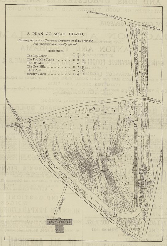 Ascot Heath Planı (gravür) by English School