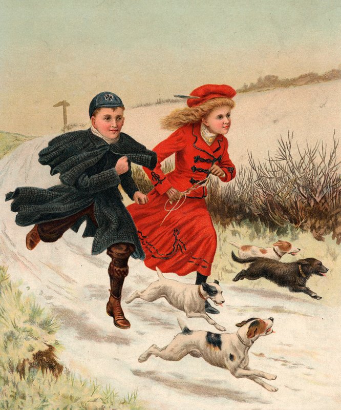 Köpeklerle Bir Koşu by English School