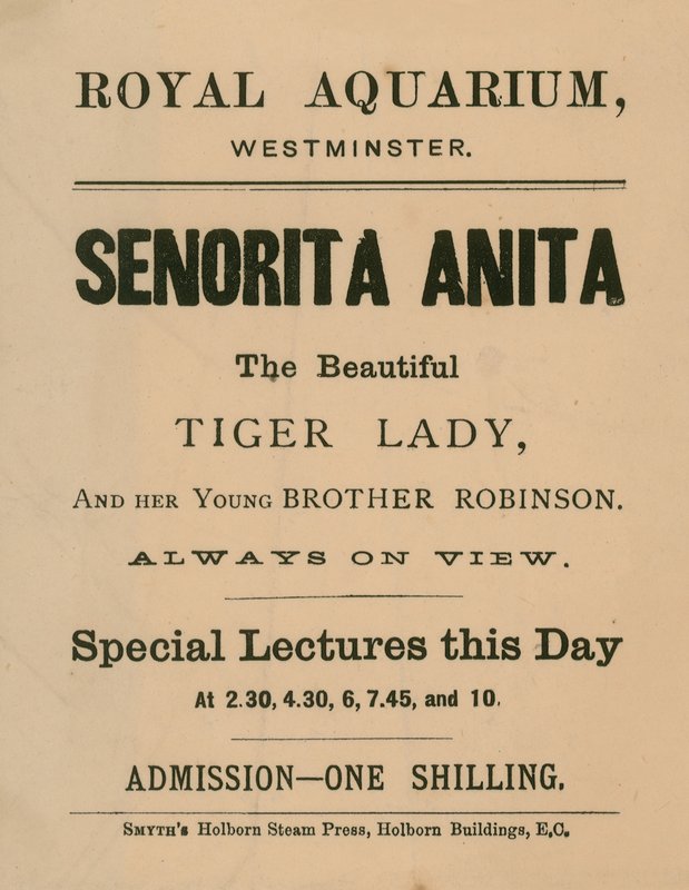 Senorita Anita için reklam by English School