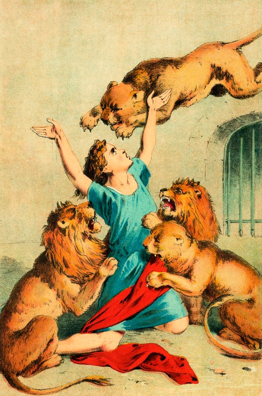 Agaputus vahşi hayvanlara atıldı by English School