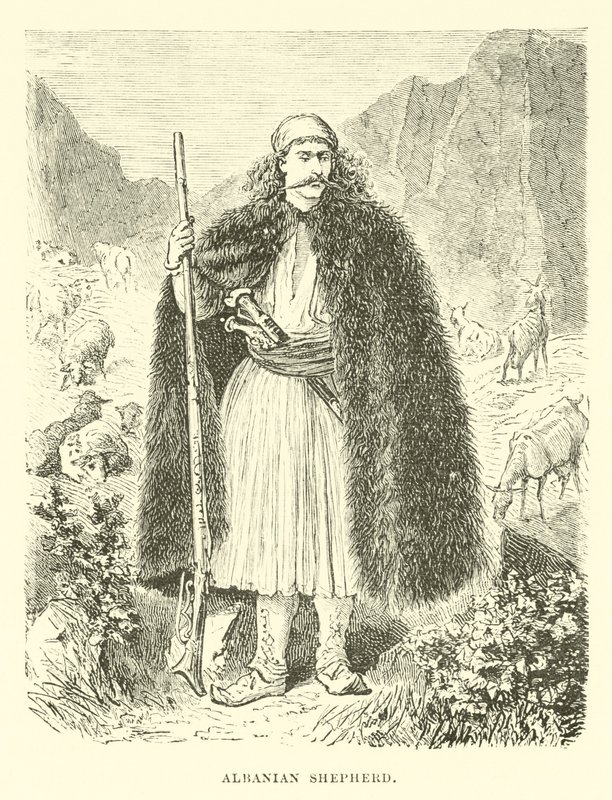 Arnavut çoban by English School