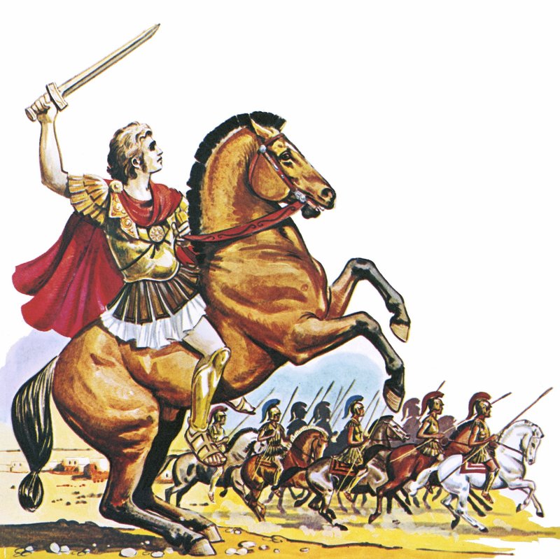 Bucephalus