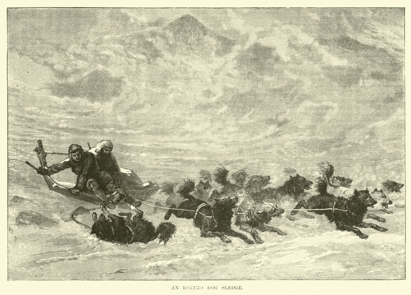 Bir Eskimo Köpek Kızağı by English School