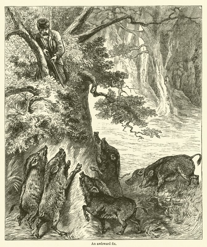Garip bir düzeltme (gravür) by English School