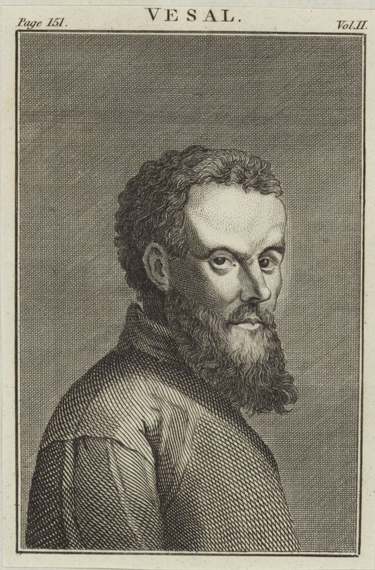 Andreas Vesalius by English School