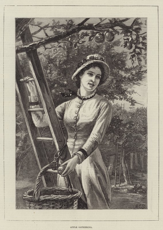Elma Toplama (gravür) by English School