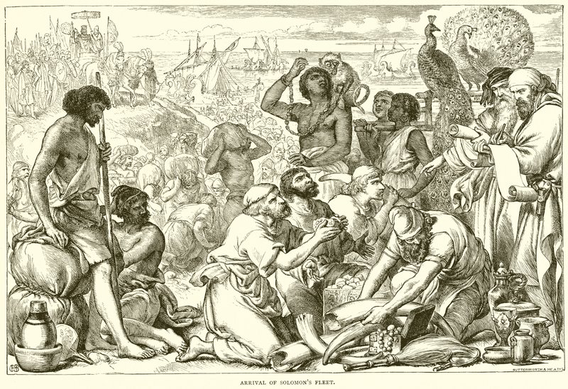 Solomons Filosunun Gelişi by English School