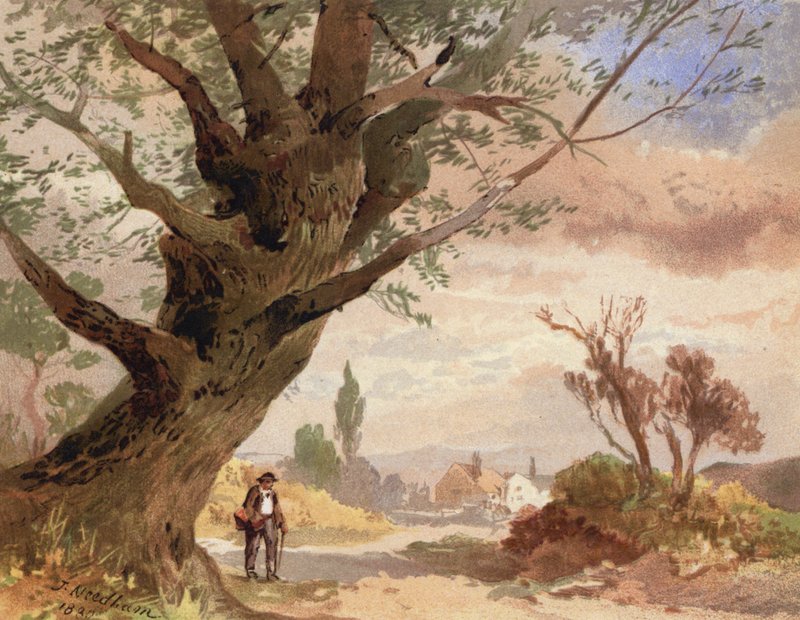 Yol Kenarında Kül (renkli taş) by English School