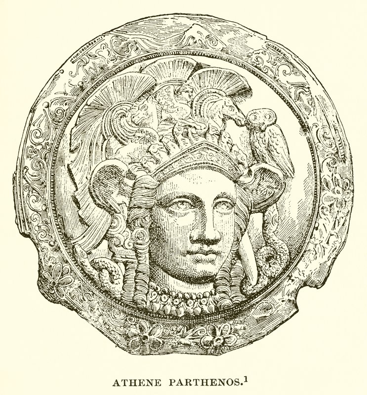 Atina Başak by English School
