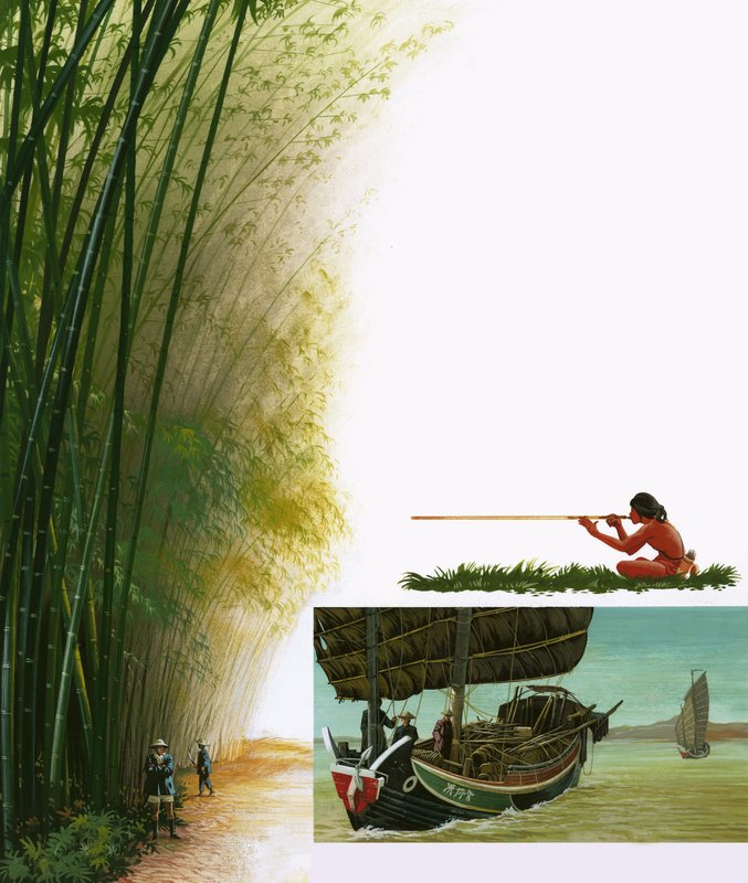 Bambu by English School