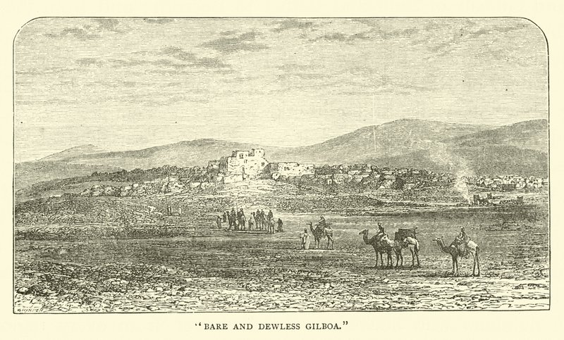 Çıplak ve çiğ olmayan Gilboa by English School