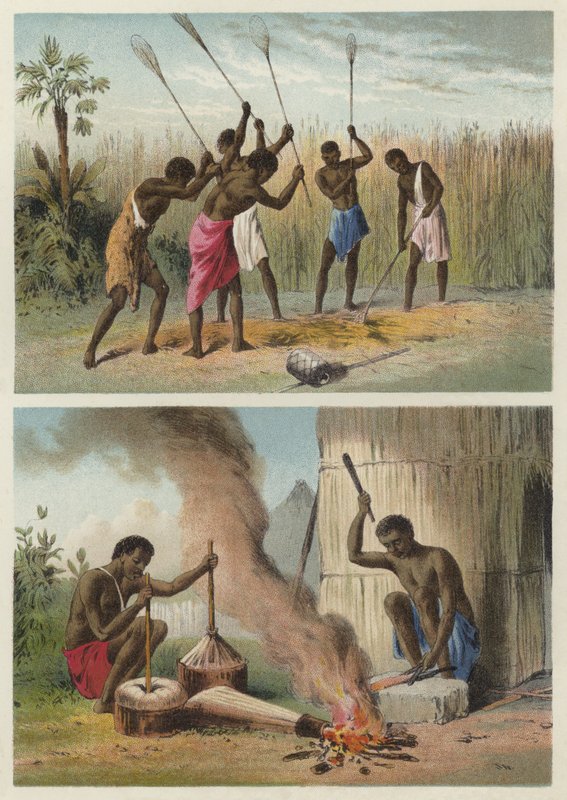 Sorgo