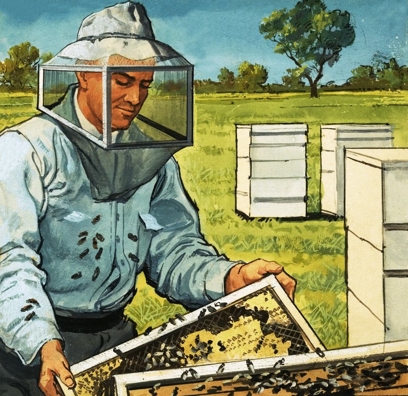 Bee keeper by English School