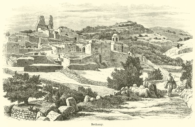 Bethany by English School