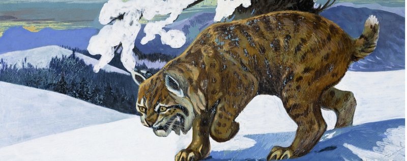 Bobcat by English School