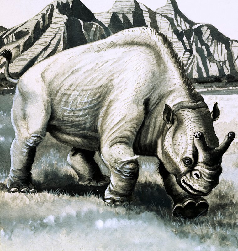 Oligosen çağından kalma Brontotherium by English School