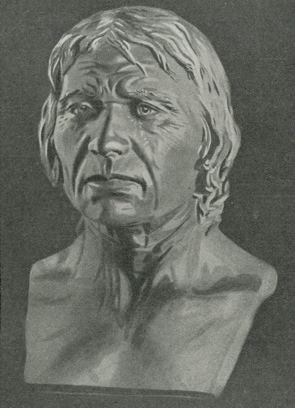 Bir Cro-Magnon erkeğinin büstü by English School