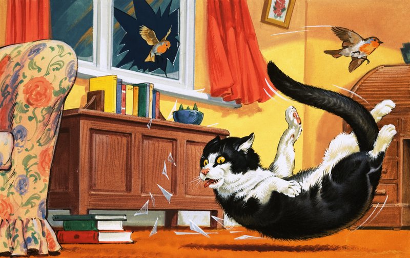 Cam pencereden düşen kedi by English School