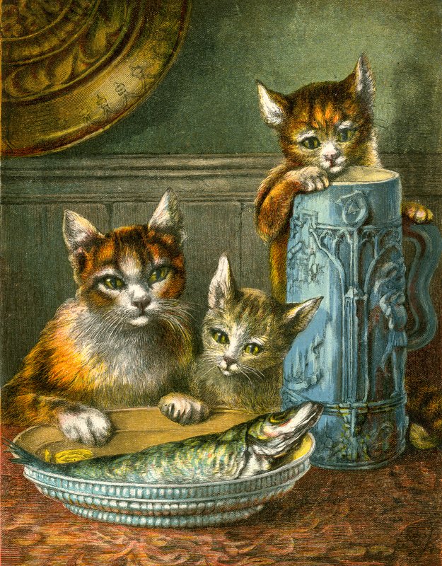 Cats, Mustn