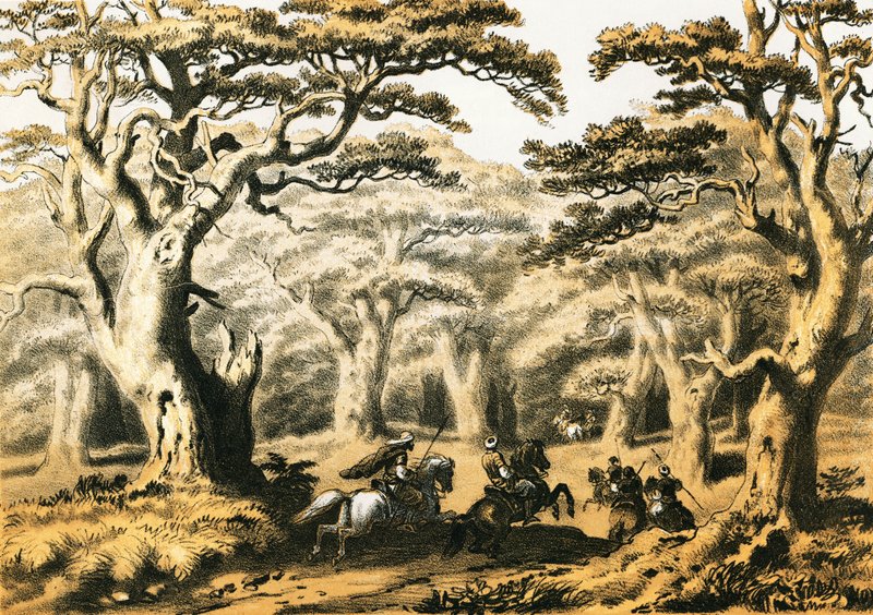 Lübnan Sedirleri by English School