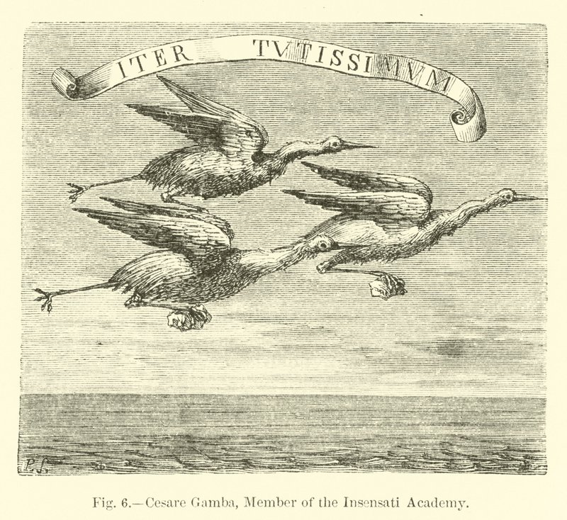 Cesare Gamba, Insensati Akademisi Üyesi by English School