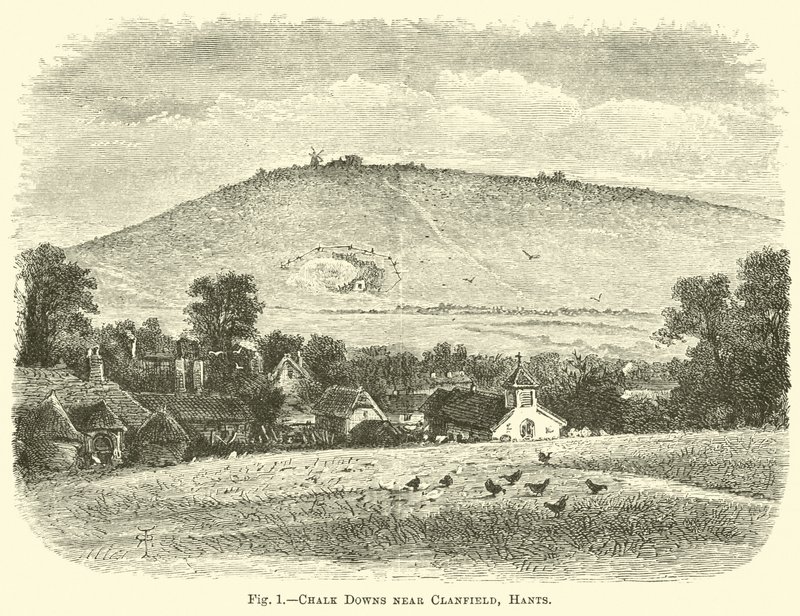 Clanfield, Hants yakınlarındaki Tebeşir Downs by English School