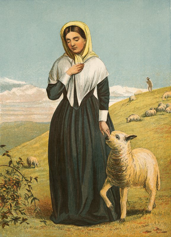 Hayır kurumu by English School