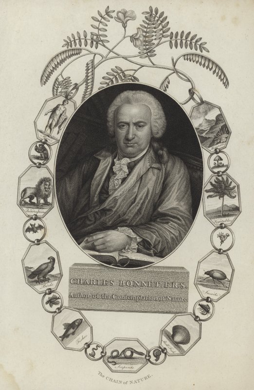 Charles Bonnet by English School