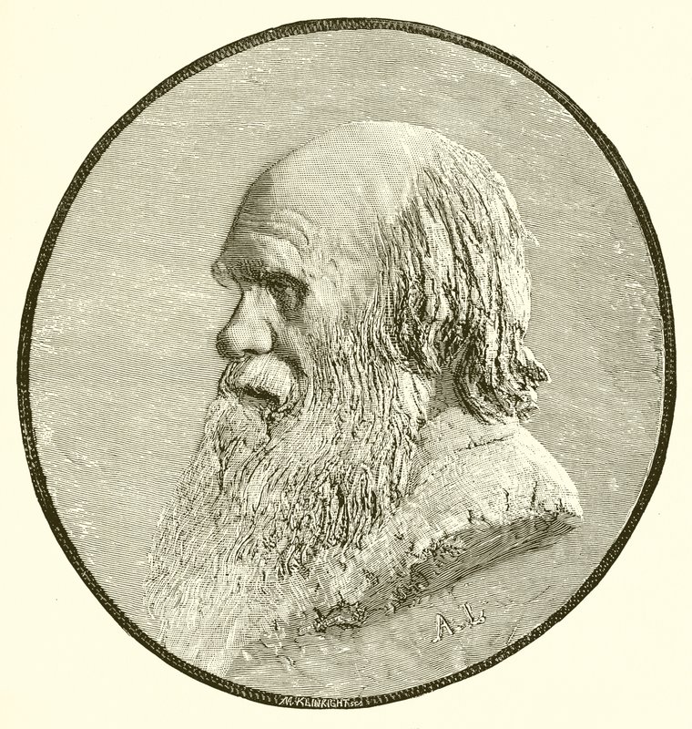 Charles Darwin by English School