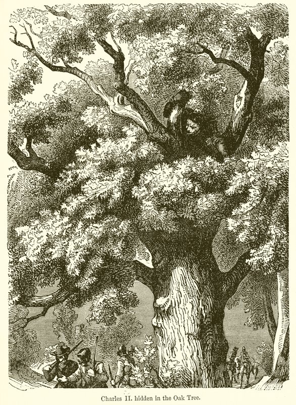 Charles II. meşe ağacına gizlenmiş by English School