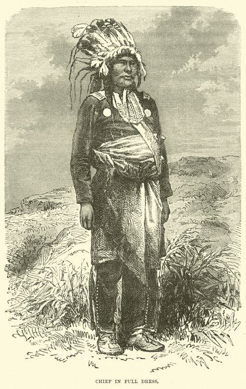 Tam elbiseli şef by English School