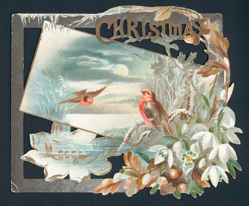 İki ardıç kuşu ile Noel kartı by English School