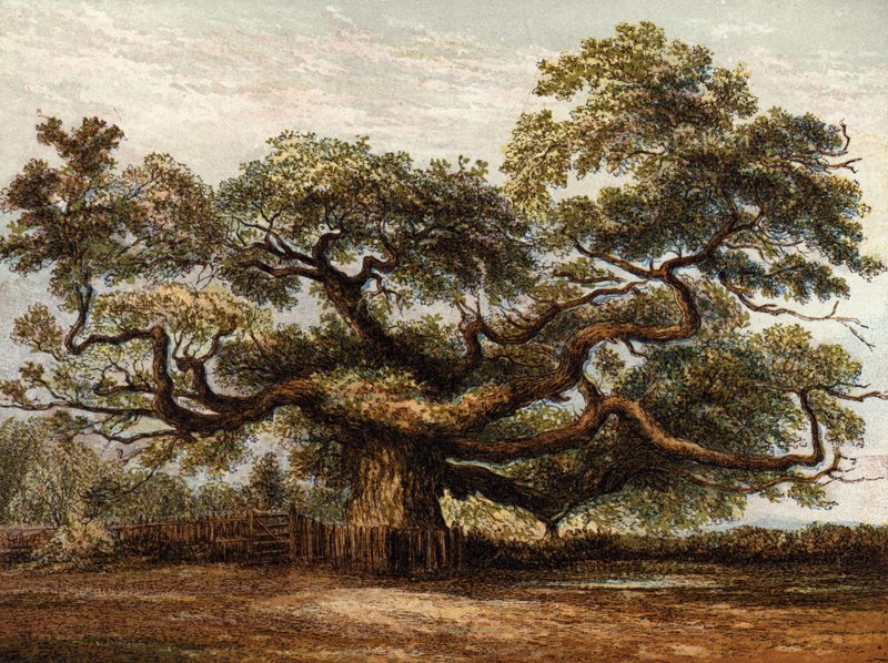 Crouch Meşe, Addlestone by English School