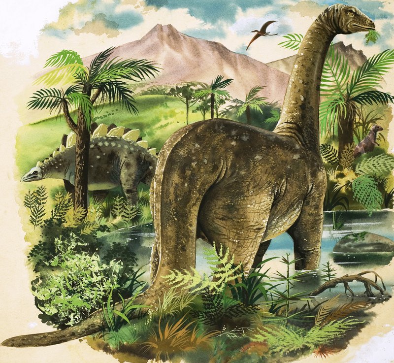 dinozorlar by English School