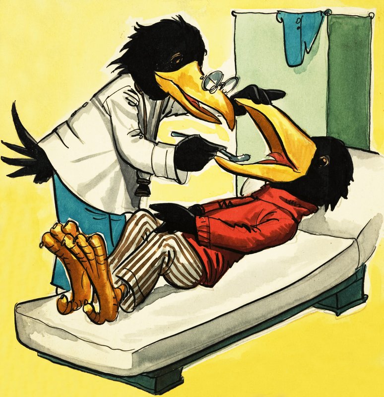 Doktor karga by English School