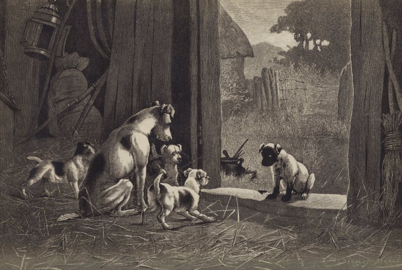 Köpek (kromolitho) by English School
