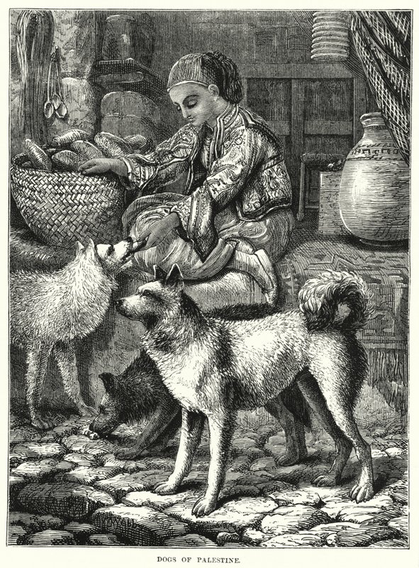 Filistin Köpekleri (gravür) by English School