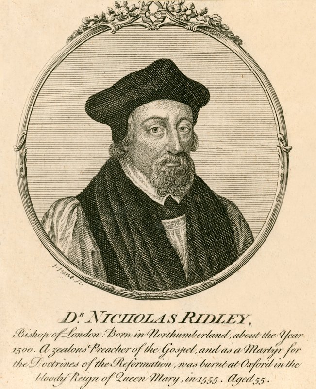 Doktor Nicholas Ridley by English School