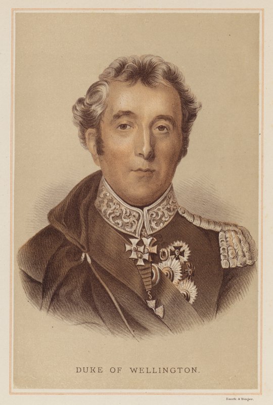 Wellington Dükü (renkli taş) by English School