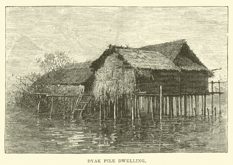 Ördek Kabuğu by English School