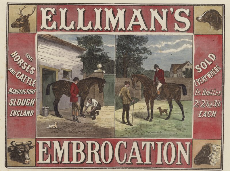 Ellimans Embrocation by English School