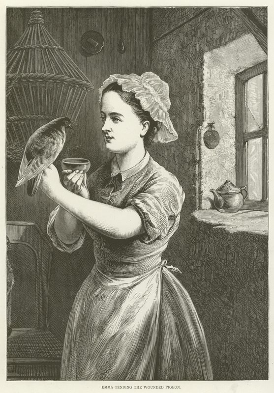 Emma yaralı güvercine bakıyor by English School