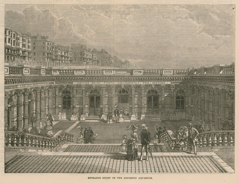 Brighton Akvaryumu Giriş Mahkemesi by English School