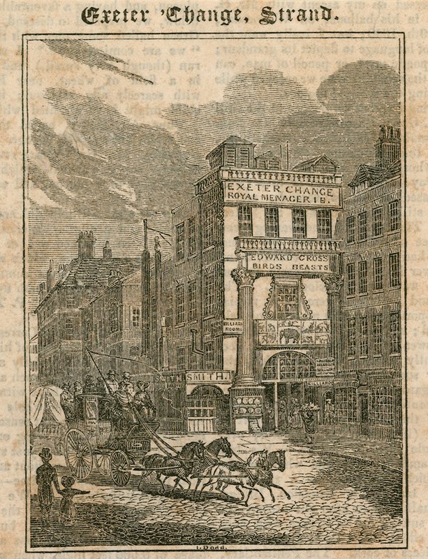 Exeter Change, The Strand, Londra by English School